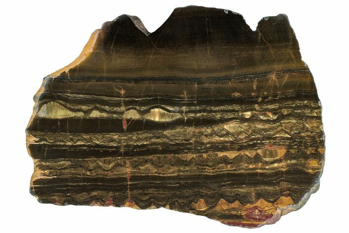 Polished Packsaddle Tiger Eye Slab - Western Australia #260892